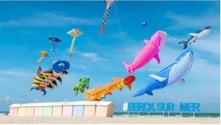 Studio 150m de la mer - Berck-sur-Mer - 6