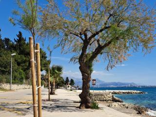 Holiday apartman - 3