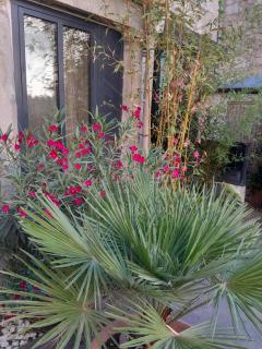 Le Clos du rouet - 2