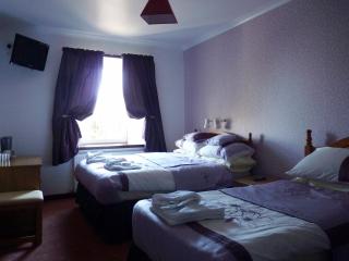 The Brown Trout Hotel - 1