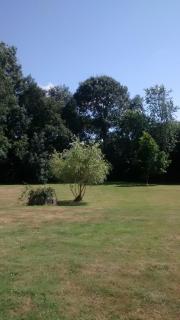 Charmante longère bretonne dans le Morbihan - 7