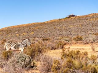 Rooilande Guest Farm Guest House - Laingsburg - 3