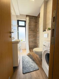 Aleksandar apartman Sokobanja - Sokobanja - 2