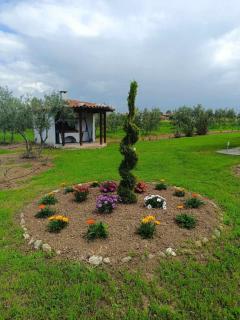 Gaia Olives Villa - Sozopoli - 5