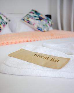 2Br Suite in BGC Horizon Haven - Manila - 3