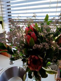 Sozo - our place at the ocean - 1