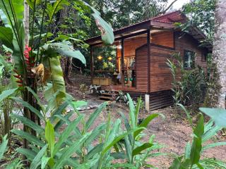 New Premium Jungle Cabin - Big Creek - 1