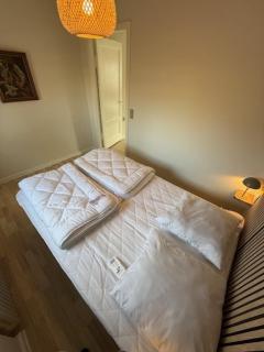 Folsted Ferie lejlighed nr 2 - Bindslev - 7