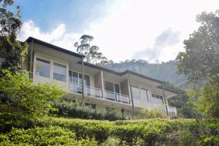 Flaming Tree Resorts - Kiriwan Eliya - 8