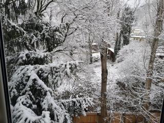 Silent Park Apartment - Baden - 7