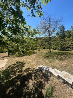 Casa Nina Fruška gora - 5