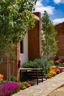 OJO AZUL RESORT - Valle de Guadalupe - 3