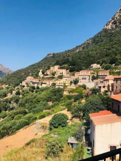 Peaceful haven in Corsica - - 4