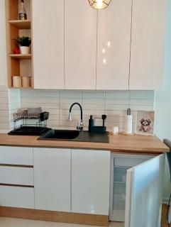 Apartman Astra Vrnjačka Banja - Vrnjačka Banja - 4