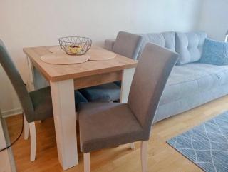 Apartman Astra Vrnjačka Banja - Vrnjačka Banja - 1