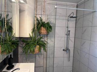 Black and Ginger Residence - Zrenjanin - 2