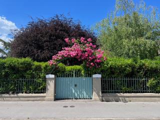 Domus Purpurea - Yverdon-les-Bains - 9