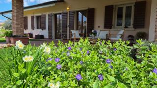 Agriturismo CarpinoNero - 0