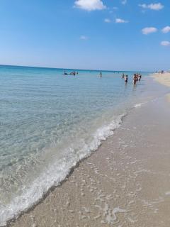 Zolla's House - Torre Mozza - 8