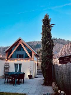 Gite between white lake and Kaysersberg 14 people - Lapoutroie - 0
