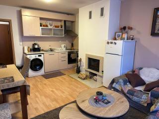 The Merry Goose Apartment in Bansko - Bansko - 8