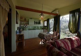 Deliziosa casa sull albero a 30 minuti da Roma - 5