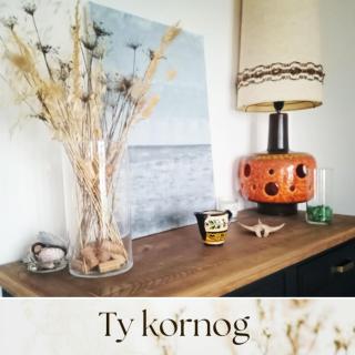 Maison de vacances Ty Kornog - 4