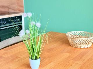 Panorama Whg 111, 8 OG - 3