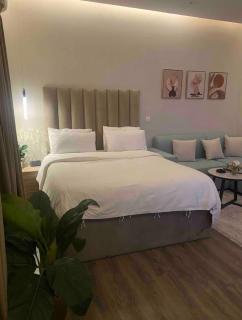 استوديو مودرن بدخول ذاتي a8 - 4