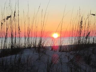DoctorsOrdersDestin 1 Luxury Estate,2 Golf Carts, Tennis Pool Bikes Destiny East - Destin - 9