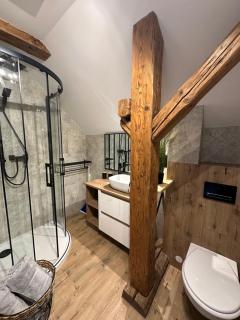 Apartamenty Pod Czarnym Bocianem - Kudowa-Zdrój - 5