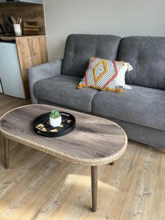 Coco studio 2 adultes et 2 enfants avec terrasse vue sur le Lac et accès parc aquatique gratuit - Talmont - 2