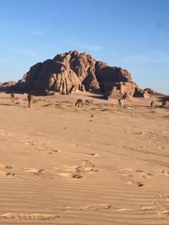 Nael Rum Camp - Wadi Rum - 6