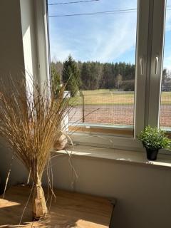 Apartamenty na Wzgórzu Boho 1- Jacuzzi, sauna, survival, free parking - 7