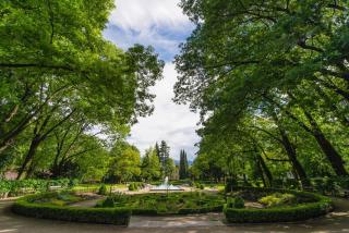 Elegante Wohnung direkt am Stadtpark - 4