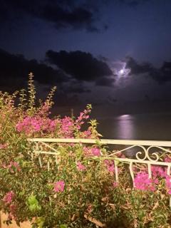 Villa Erbella with sea view from balcony and lovely garden - 7
