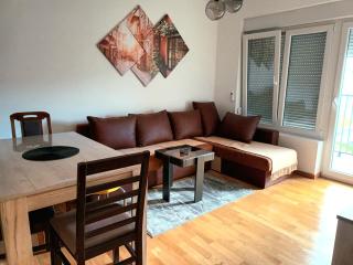 Trajkovic One Bedroom Apartment - Soko Banja - 0