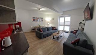 Apartament Gwiazda Przystań Krynicy - Krynica-Zdrój - 4