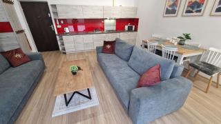 Apartament Gwiazda Przystań Krynicy - Krynica-Zdrój - 3