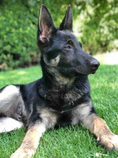 Amplia y bonita casa familiar en medio de la naturaleza descanso vistas e internet - 3