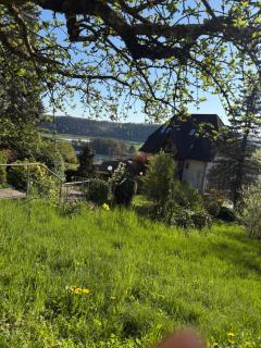 Adlerhorst4 - Waldshut-Tiengen - 8