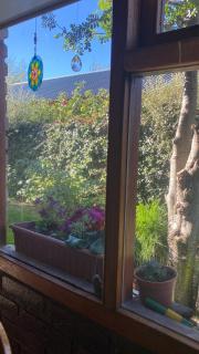 Buenos Augurios, alojamiento a metros del Lago - Dina Huapi - 1