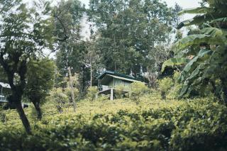 Radiance Ella Urban Camping - 9