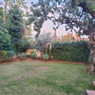 The Enchanted Fairy Forest - Marbella - 6