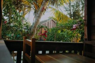 Les flamboyants MV - Morondava - 6