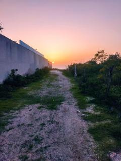 Estudio Independiente, Tres Flamencos - 7