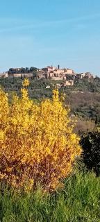 Appartamento Panoramico - Montepulciano - 5
