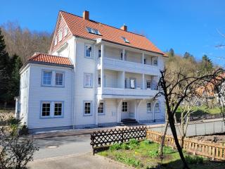 Haus Am Beckerberg im Harz - Bad Grund - 6