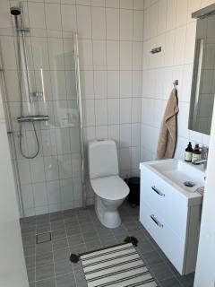 Nybyggd gästlägenhet med sovloft - Falkenberg - 5