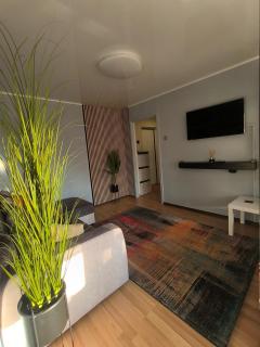 Patogi ir jauki viešnagė - Palanga - 7